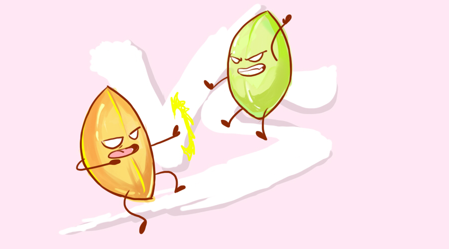 鱼油和藻油降血脂,宝宝长高食用油