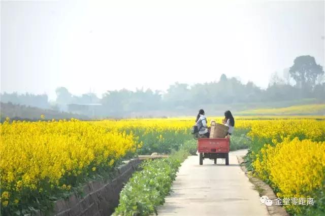 金堂云顶山一日游攻略,金堂旅游攻略一日游价格