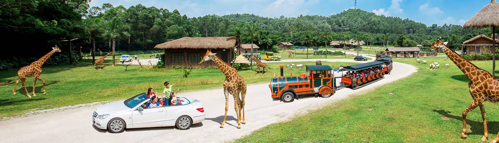 长隆番禺野生动物园攻略,番禺长隆野生动物园门票攻略