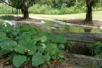 长隆番禺野生动物园攻略,番禺长隆野生动物园门票攻略