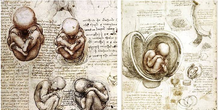 到头方信鬼无皮│左图右史