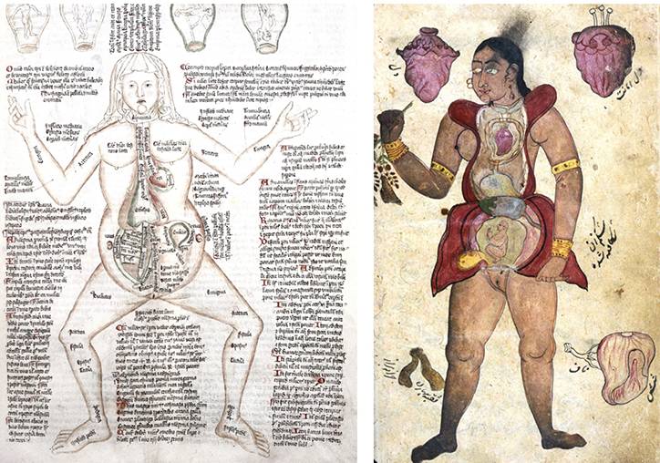 到头方信鬼无皮│左图右史