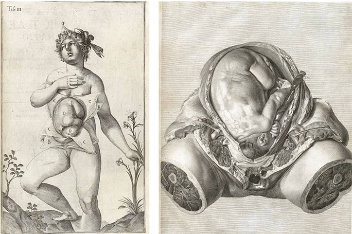 到头方信鬼无皮│左图右史