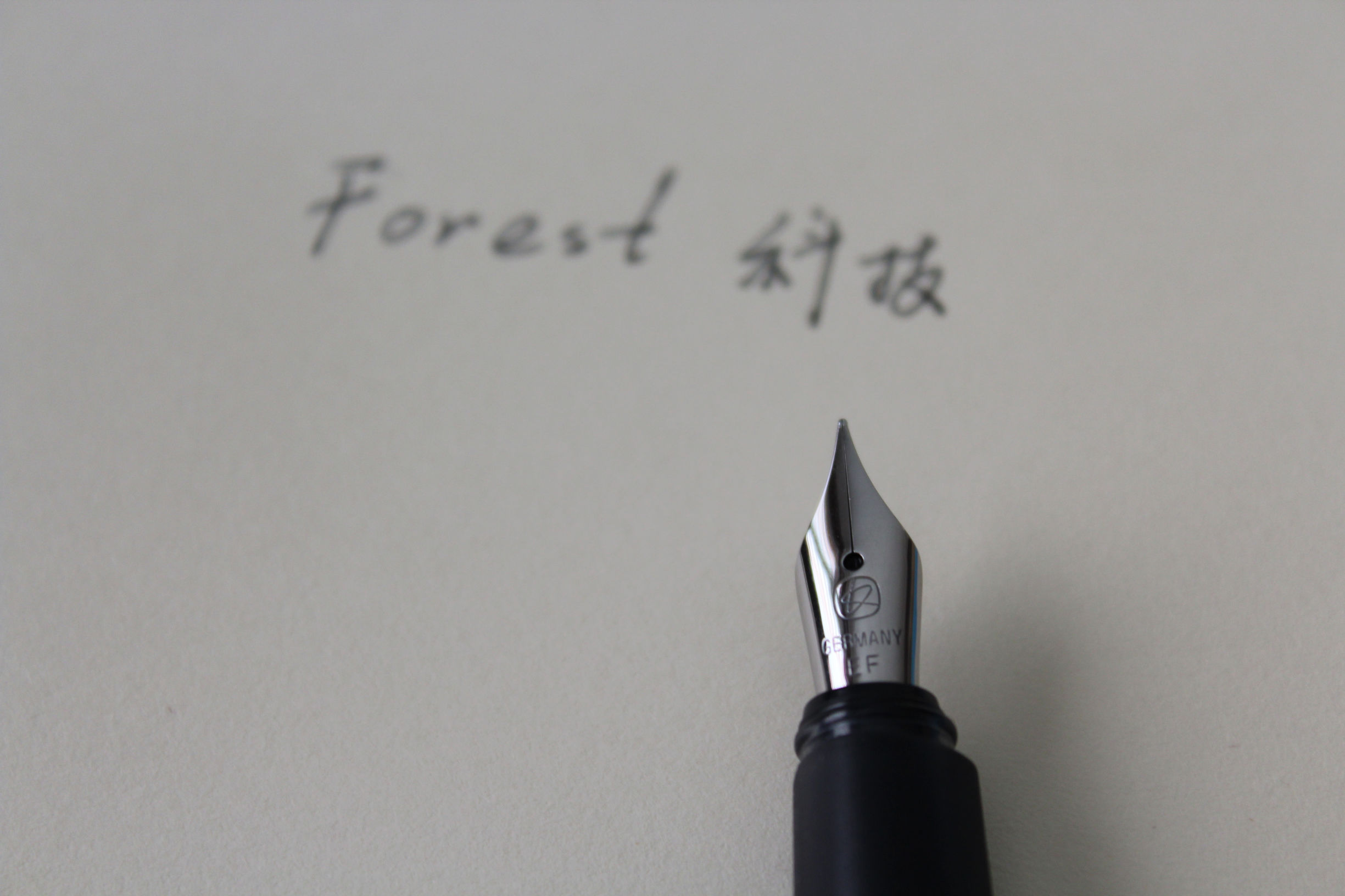 凌美钢笔恒星系列哪个最好,凌美钢笔恒星和狩猎哪个好用一点