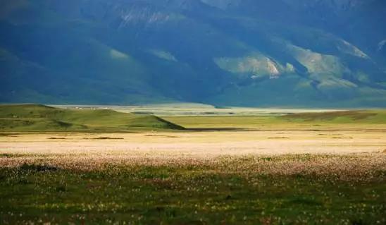 四川不可不去的十个景区,四川湿地风景区