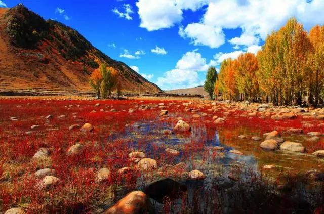 四川不可不去的十个景区,四川湿地风景区