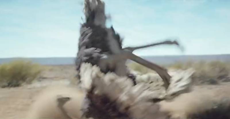 鸵鸟戴上vr眼镜广告,鸵鸟宣传