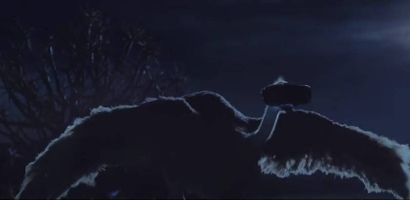 鸵鸟戴上vr眼镜广告,鸵鸟宣传