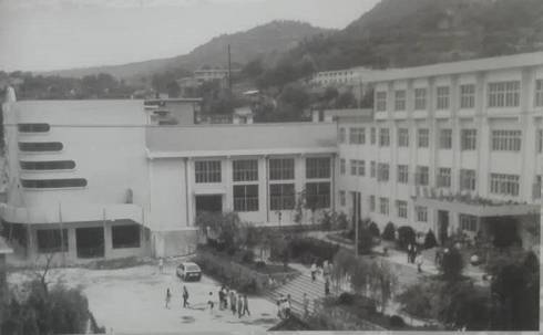 宝鸡的特色有哪些,宝鸡的特色都有什么