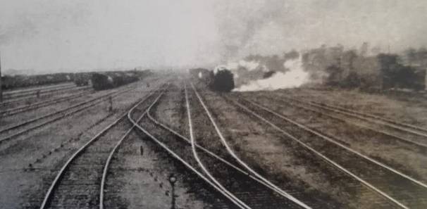 宝鸡的特色有哪些,宝鸡的特色都有什么