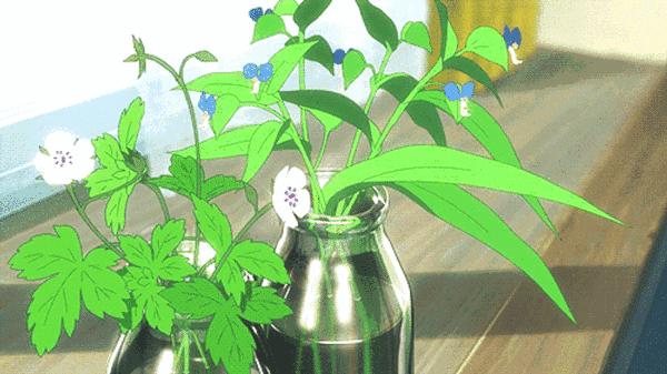 青听这个品牌怎么样,青听是什么