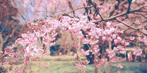 寻找紧急扩散人员名单,紧急寻找紧急扩散