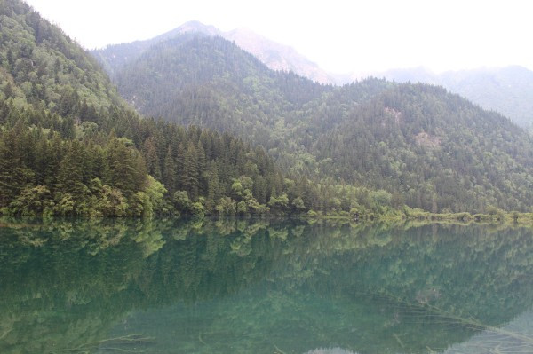 若尔盖红原九寨沟六日游,九寨沟黄龙若尔盖大草原自助游