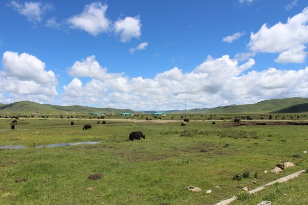 若尔盖红原九寨沟六日游,九寨沟黄龙若尔盖大草原自助游