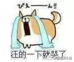 怀念山师东路的说说 (济南历下区山师东路)