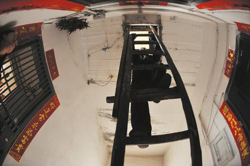 太原市鸽将军,太原鸽将军