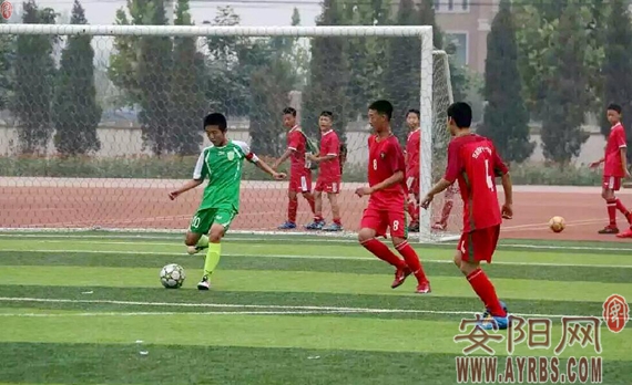 足球小子踢球,足球少年逐梦绿茵场