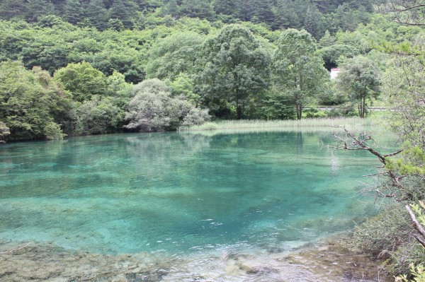 若尔盖红原九寨沟六日游,九寨沟黄龙若尔盖大草原自助游