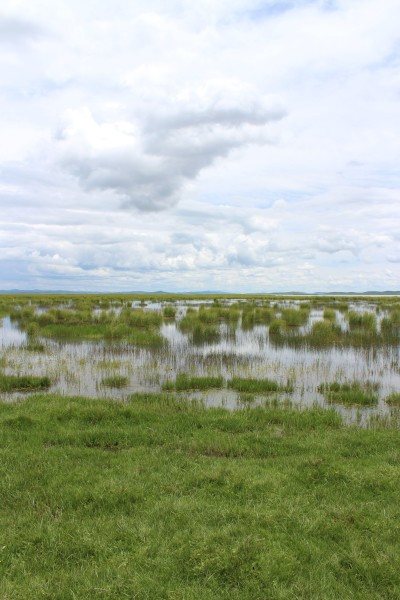 若尔盖红原九寨沟六日游,九寨沟黄龙若尔盖大草原自助游