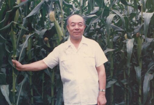 侯树槐一年出一本书为文坛添“新绿”