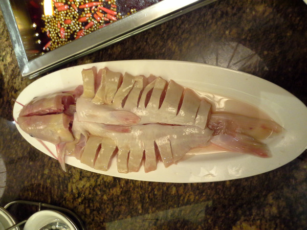 2013.12.27—2014.1.1峨眉、乐山、成都、广汉、都江堰六日暴走游记（下）