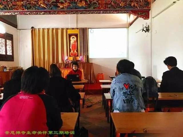 浠佺埍鎱堝杽鍏泭,浠佺埍鎱堝杽鍏泭娲诲姩