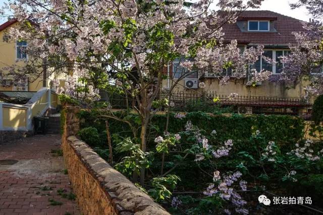 青岛照片相册,青岛金口张岩照片