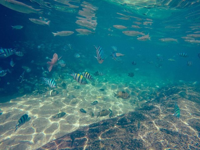 泰国苏梅岛房产中介网价格,泰国苏梅岛真实图片