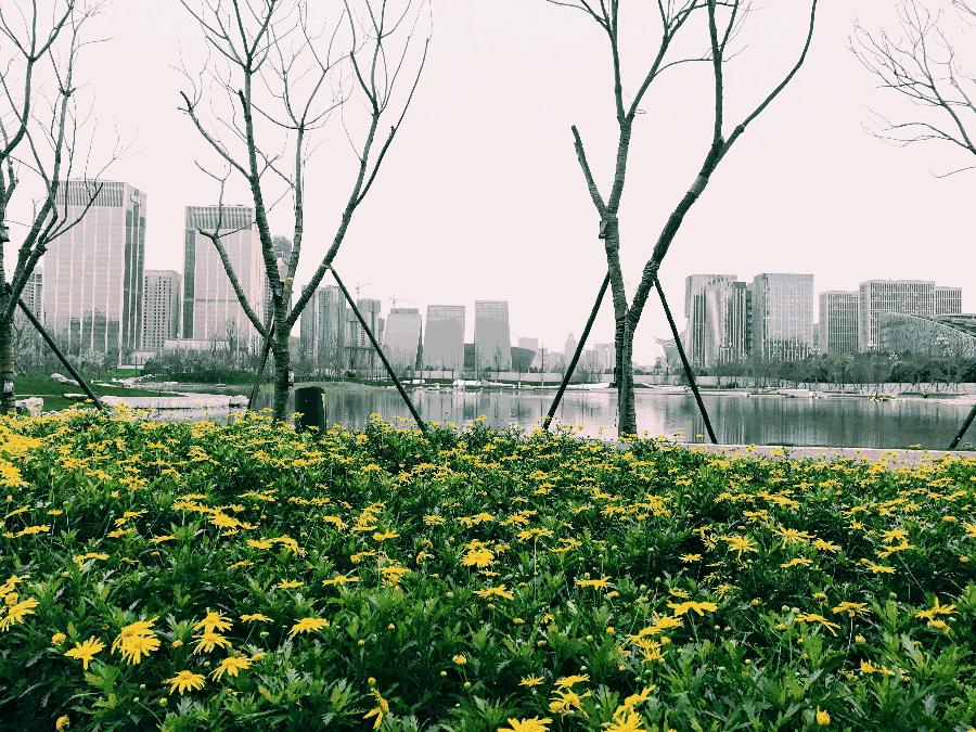 成都银泰中心in99和银泰城的区别,成都ifs购物中心游玩