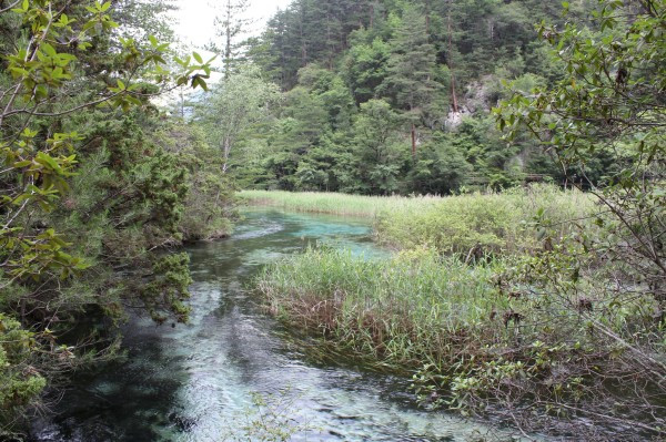 若尔盖红原九寨沟六日游,九寨沟黄龙若尔盖大草原自助游
