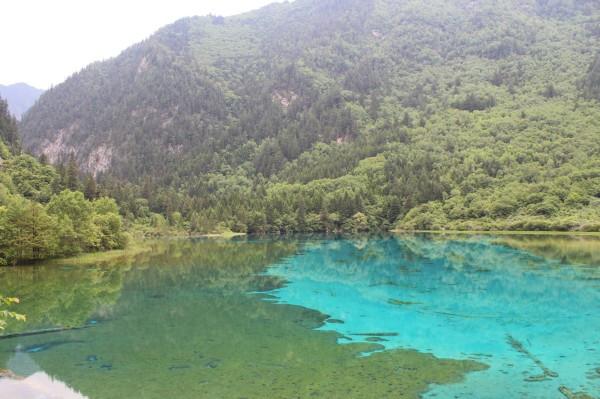 若尔盖红原九寨沟六日游,九寨沟黄龙若尔盖大草原自助游