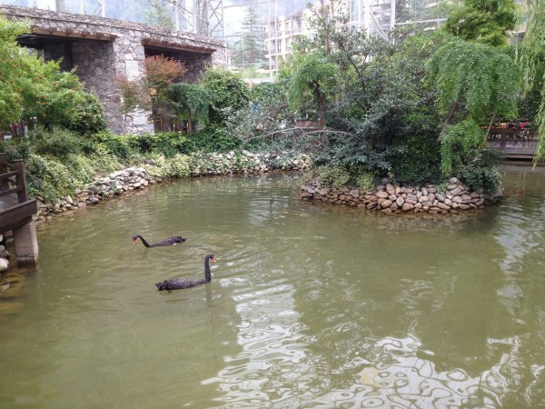 若尔盖红原九寨沟六日游,九寨沟黄龙若尔盖大草原自助游