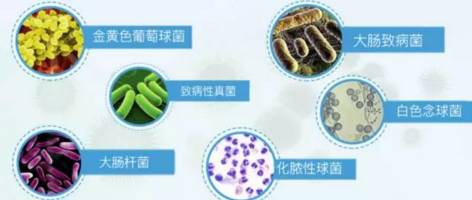 关键时刻，一套解决所有烦恼！