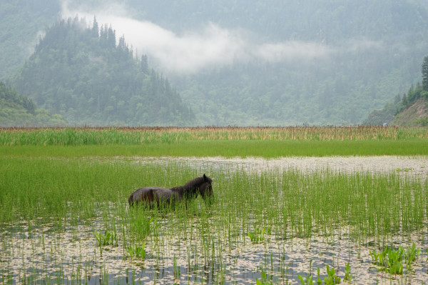 成都黄龙九寨沟路线安排,九寨沟黄龙自驾游攻略详细