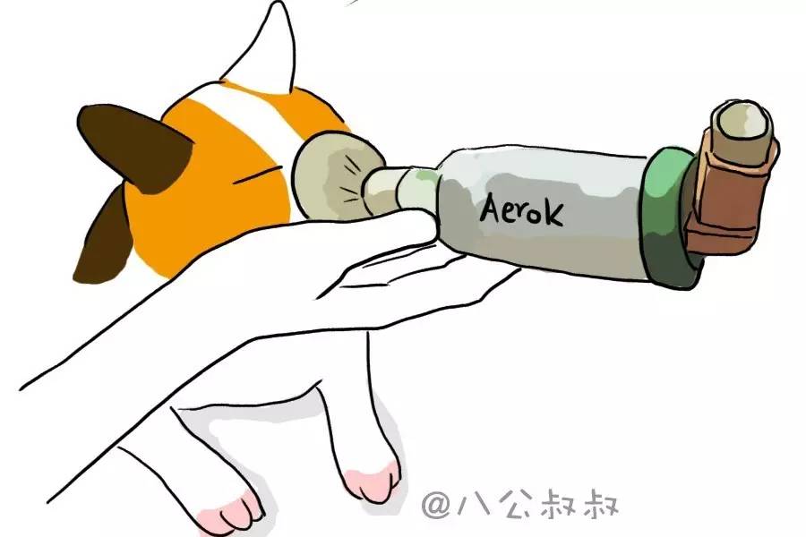 狗狗喘不过气怎么治疗,狗狗喘气喘不过来怎么办