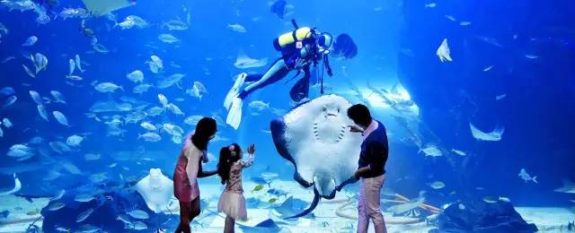 白鸟湖万达城项目取消了吗,终于等到你恒大