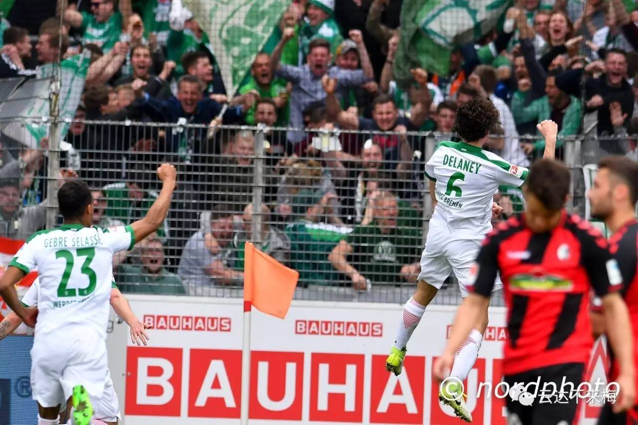 不经一番寒彻骨梅花怎得扑鼻香,不经一番寒彻骨怎得梅花扑鼻香