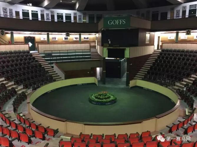 英哥夫斯试跑拍卖会日交易额近5000万