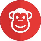 猴年人的性格和脾气,猴年能脱胎换骨的生肖