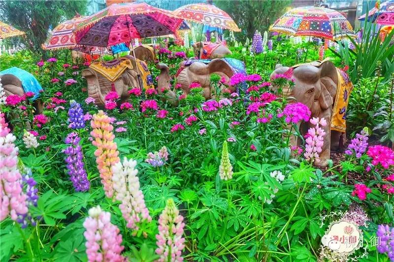 春节旅游去新加坡,新加坡旅游团春节