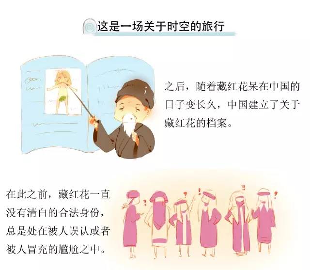 国医·本草藏红花的闲散游记