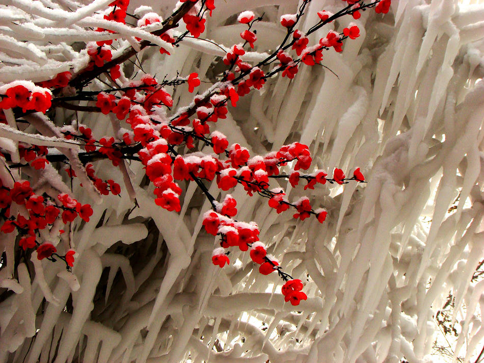 阎老走了，也许你熟悉舞台上的他，却未必了解生活中另一个他