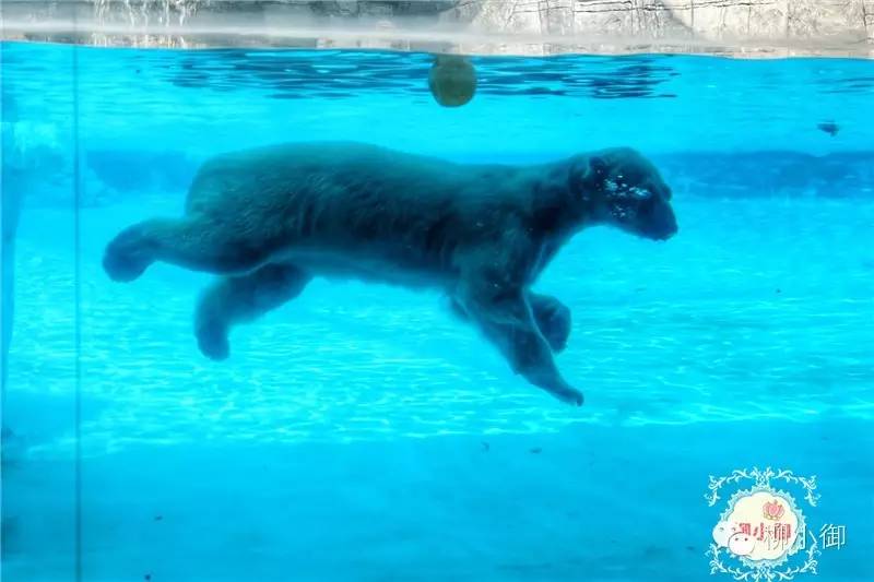 春节旅游去新加坡,新加坡旅游团春节