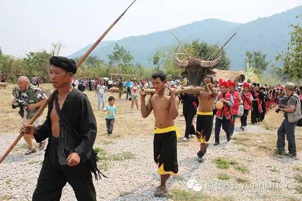 大理人怎么在大理旅游,大理人出游一般去哪里