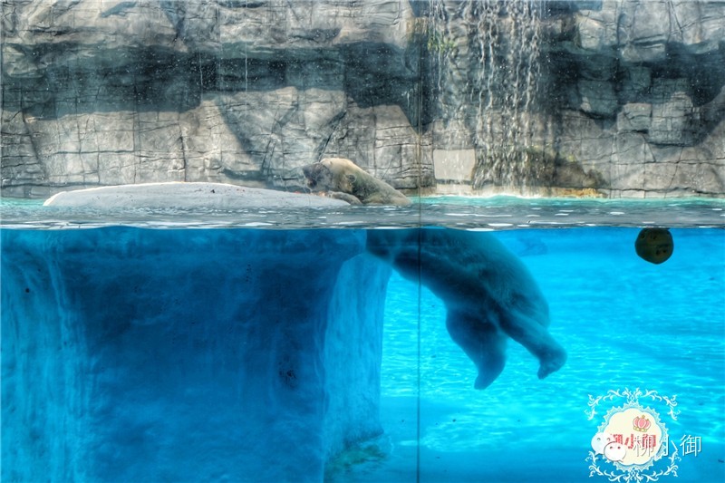 春节旅游去新加坡,新加坡旅游团春节