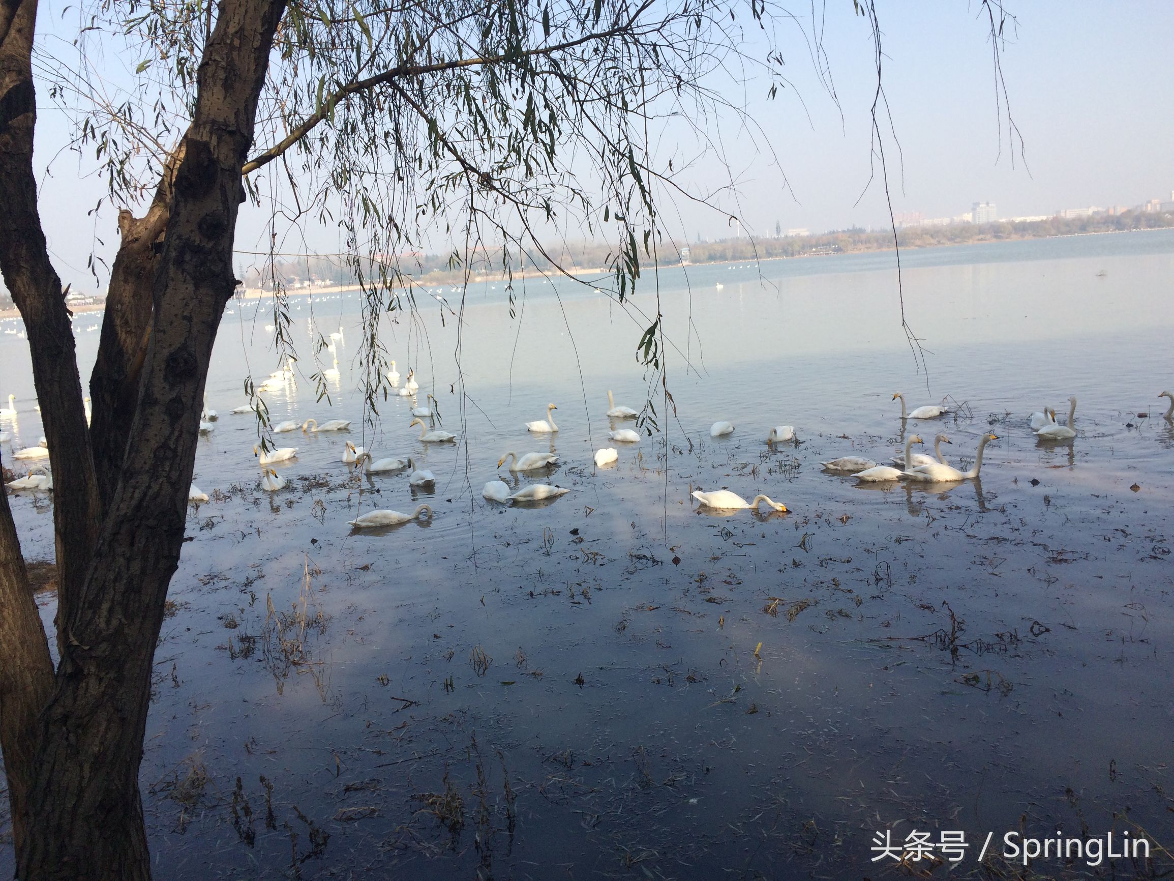 三门峡豫西大峡谷旅游攻略,豫西三门峡全景图