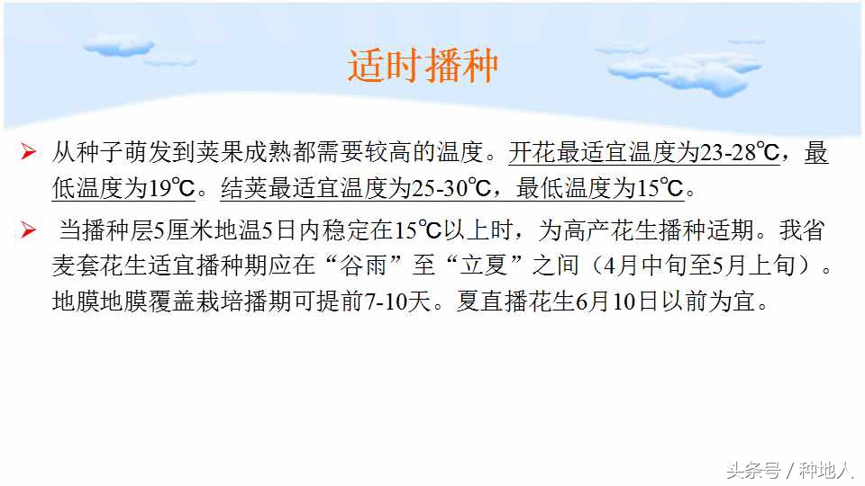 已经开始种花生了怎么种,马上要种花生了