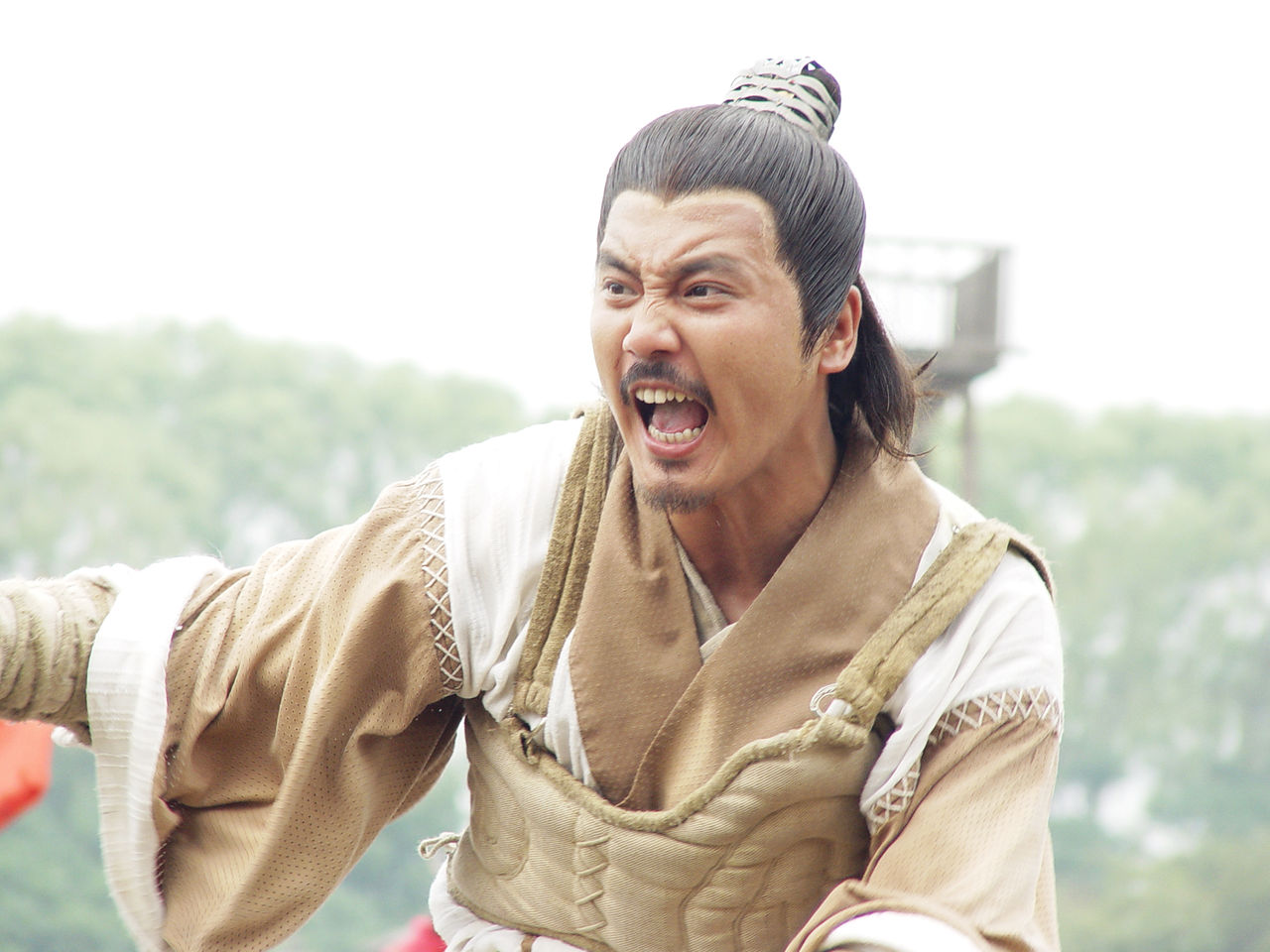 隋唐英雄传艺人今昔对比谢君豪,隋唐英雄传和隋唐后传英雄排名