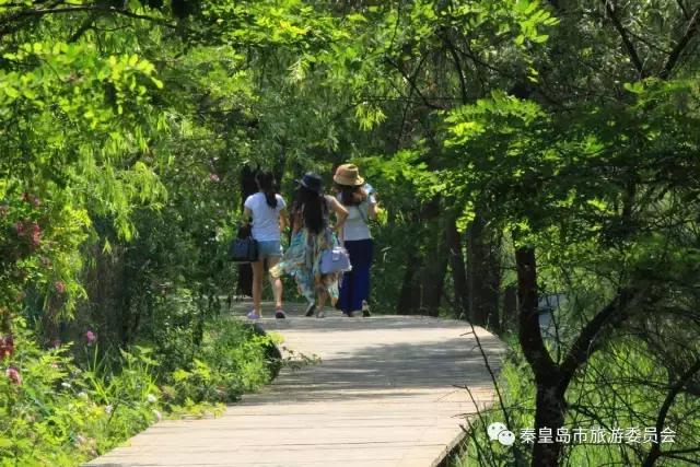 给所有秦皇岛人，这里有一份春天请你查收！