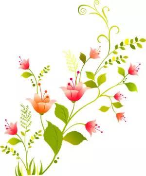 繁花似锦春天到来,繁花似锦的春天如约而至